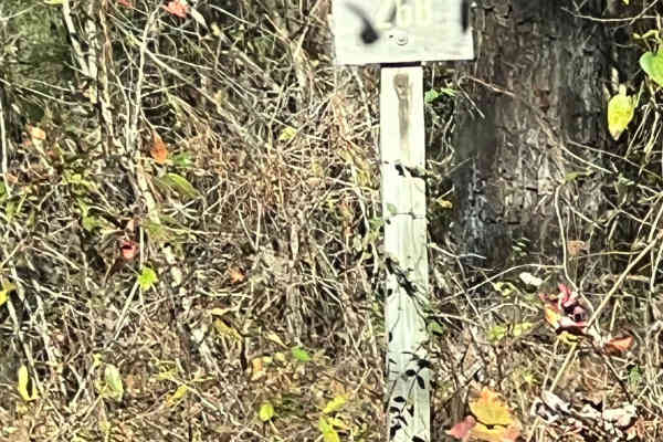 County Road 81 - FS 268