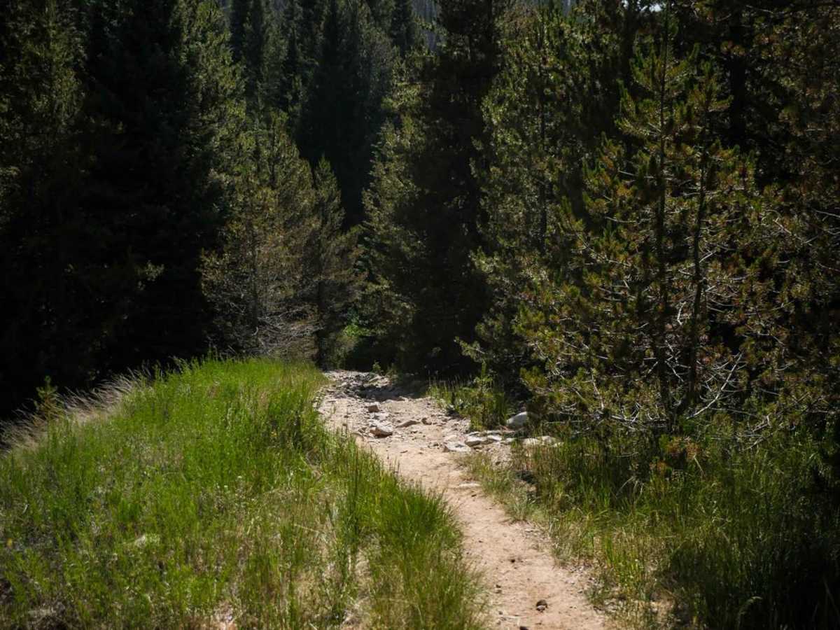 Carbon Trail photo 4