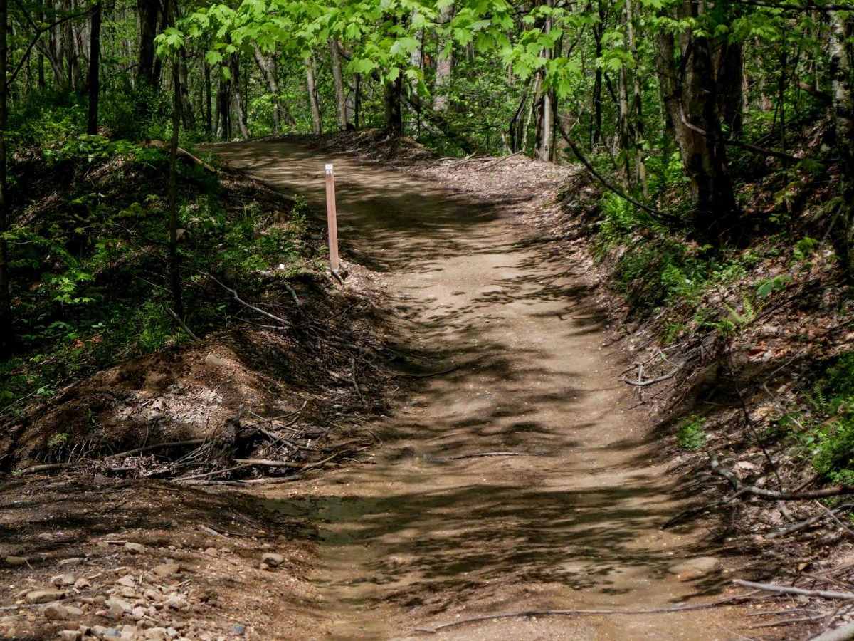 IR 64 trail photo