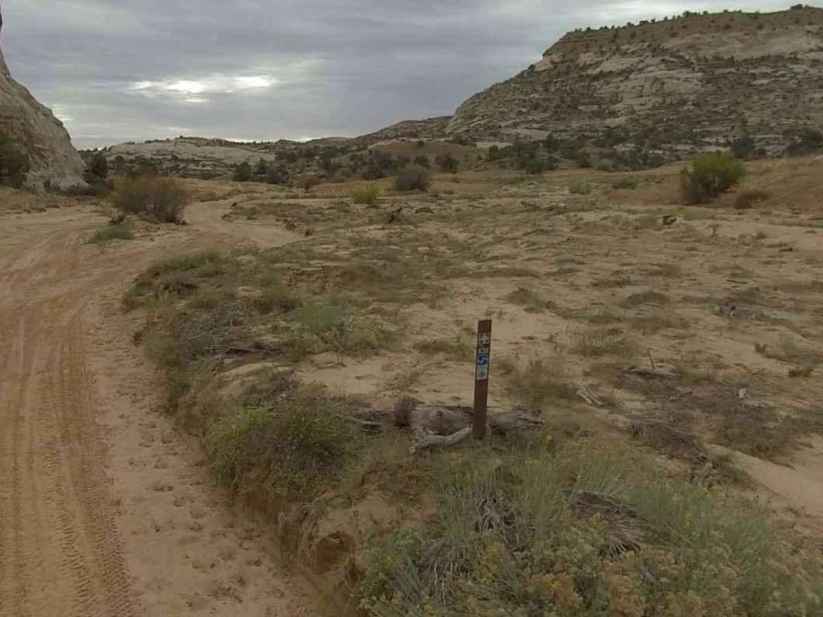 North Fork Coal-BLM638 photo 6