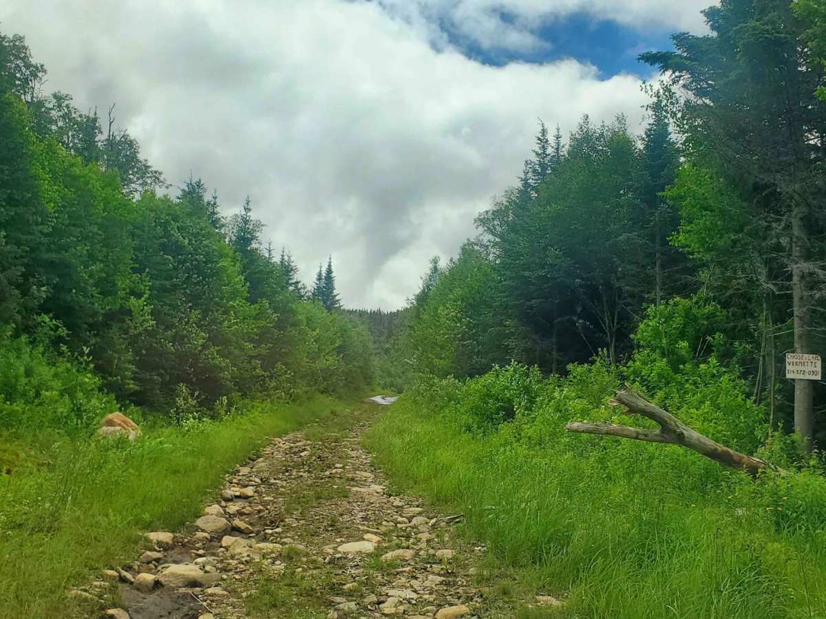 05N - Montagne Blanche trail photo