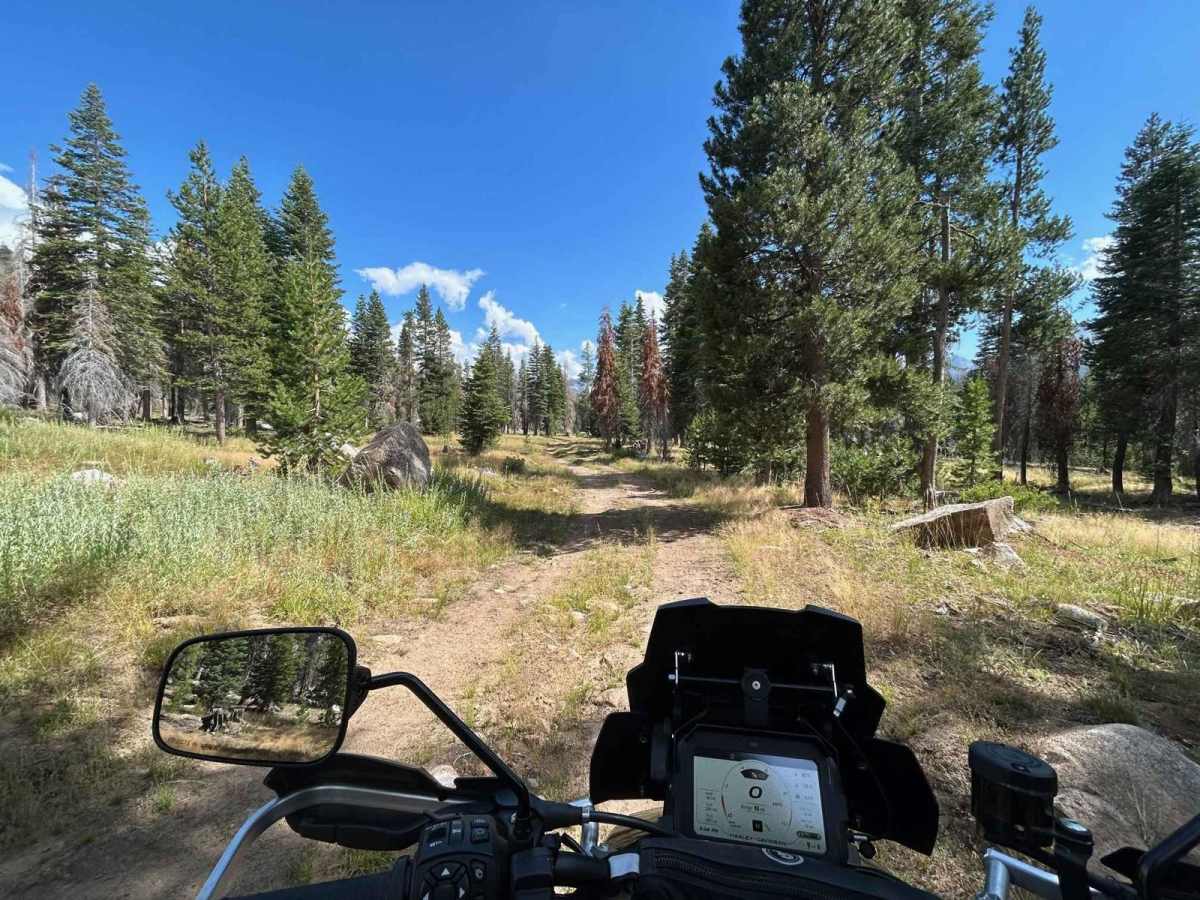 Sample Meadow Campground trail photo