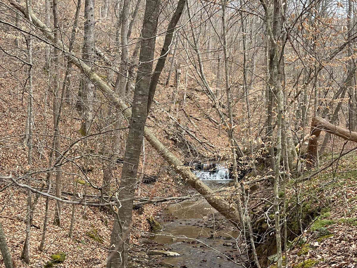 Trail 20 Wash Branch photo 3