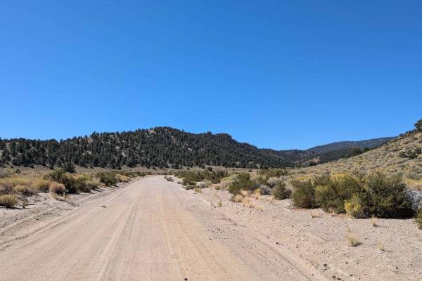 McGee Canyon Road