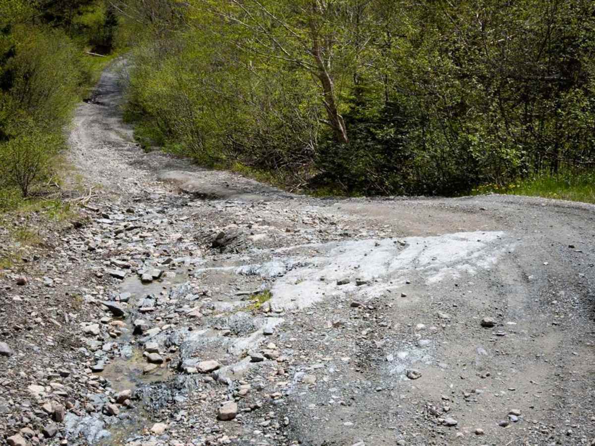 Goose Creek Road photo 6