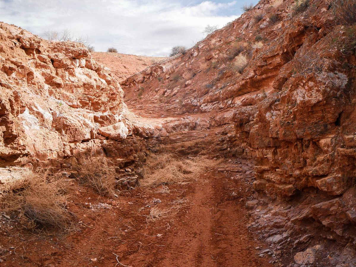 2040 ATV trail photo