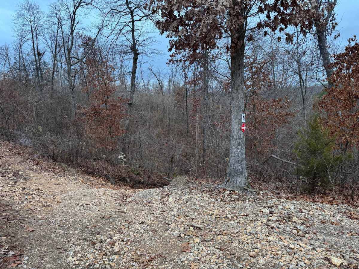 Copperhead 295 photo 2