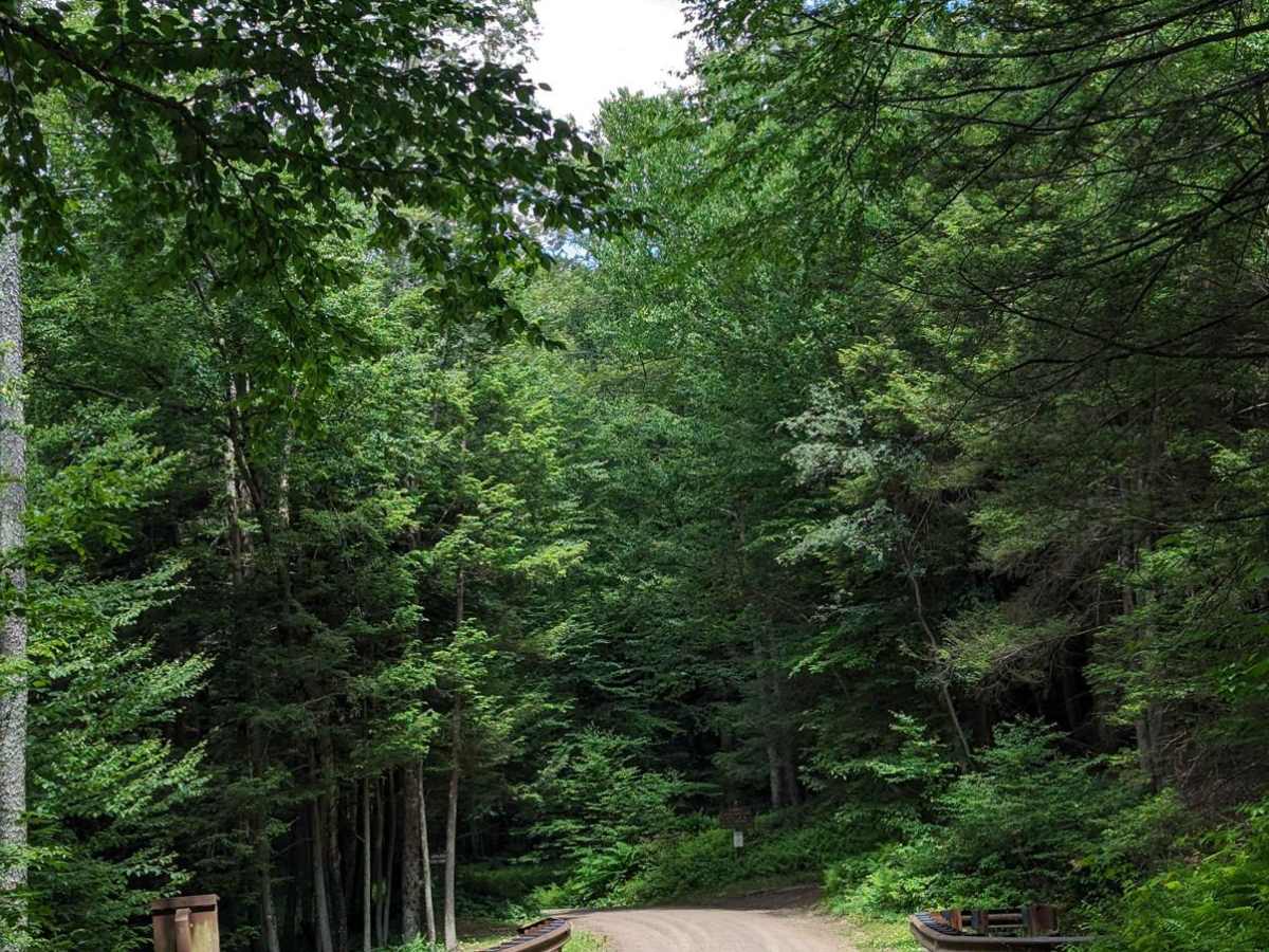 Mineral Spring Road photo 5