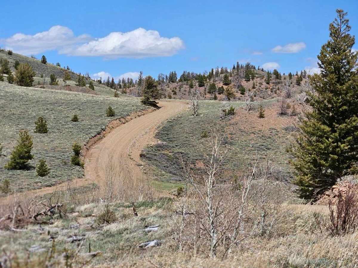 Jelm Mountain photo 4