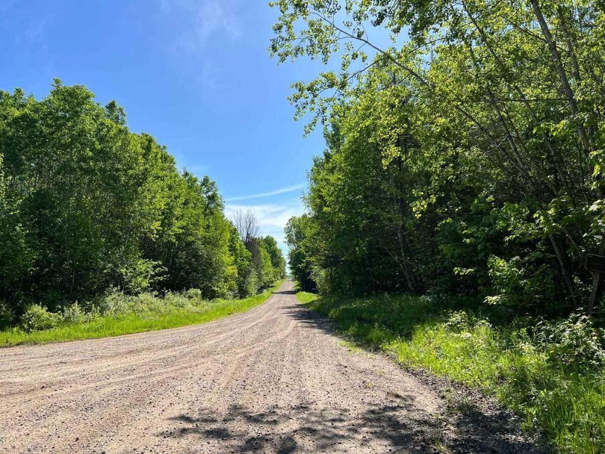 Double Bend FR 2166 photo 6