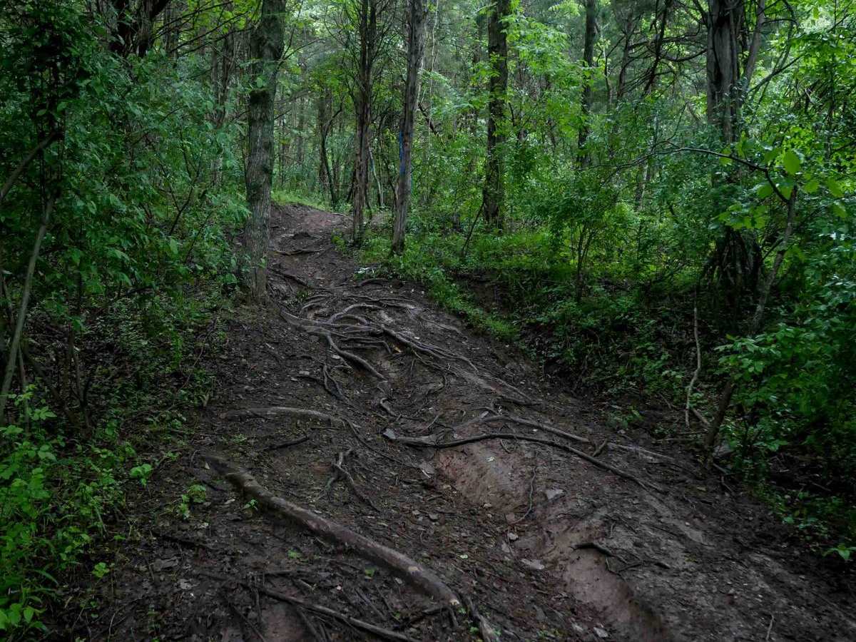 T26 trail photo
