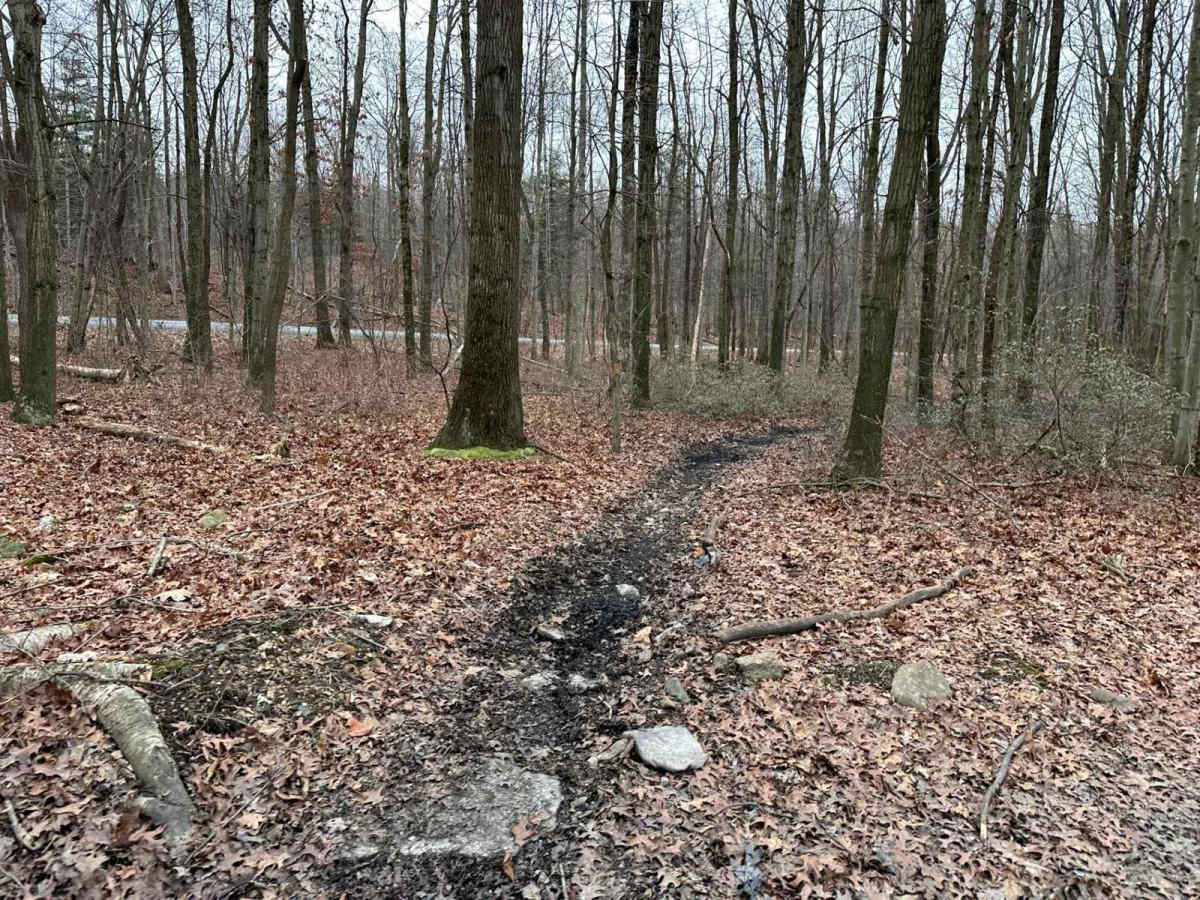 Darkwater Single Track 1 photo 4