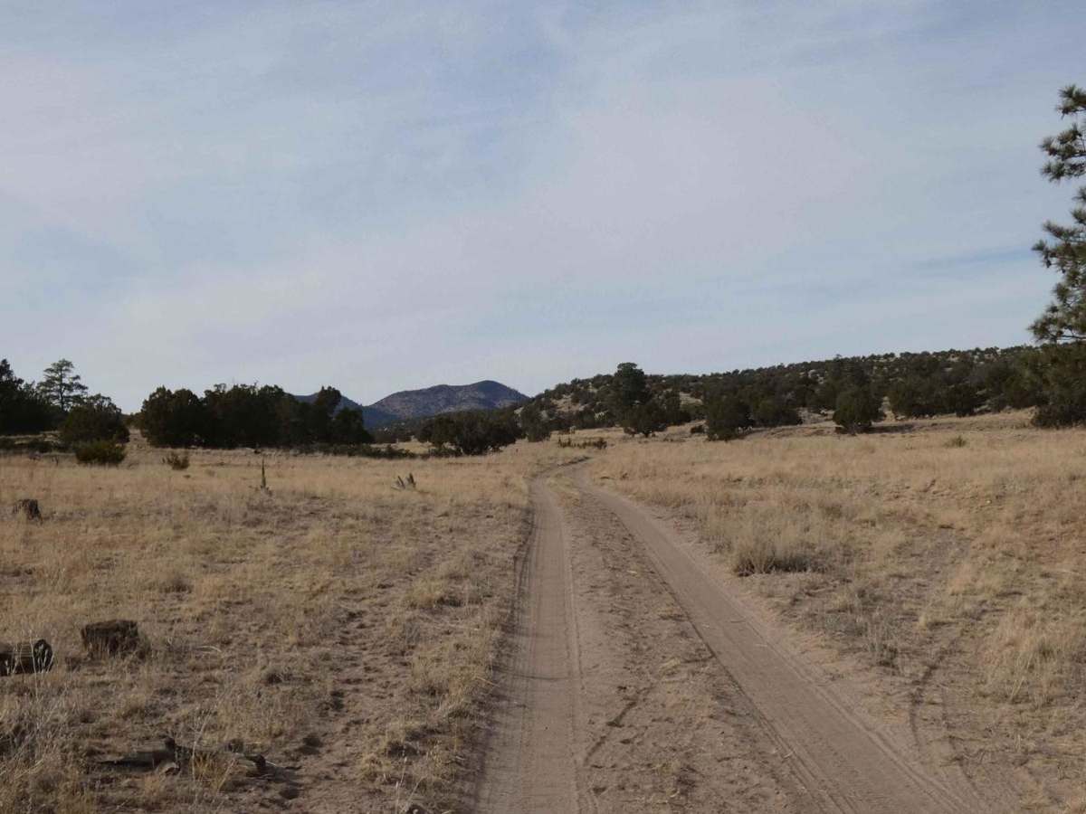 McGee Spring photo 2