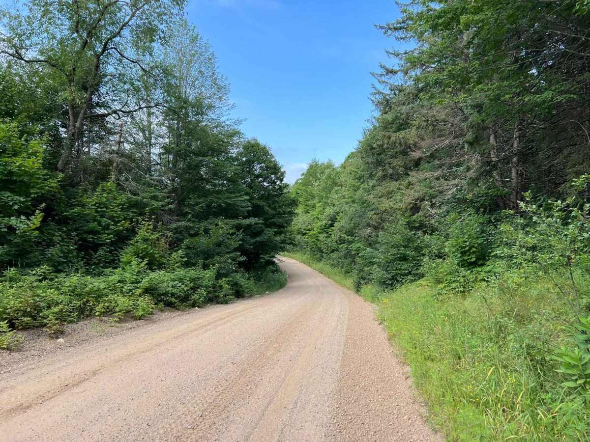 Roberts Lake Road - FS 2144 - Northern Half trail photo