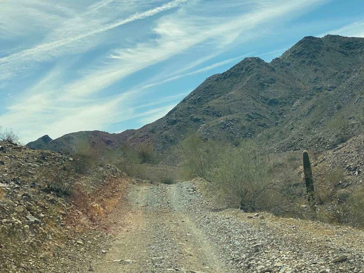 EC1269 trail photo