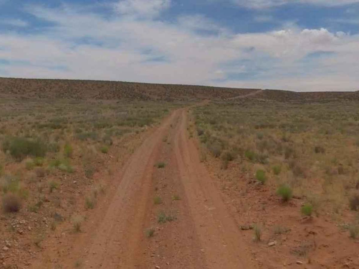 Spring Desert Road - BLM13410 photo 6