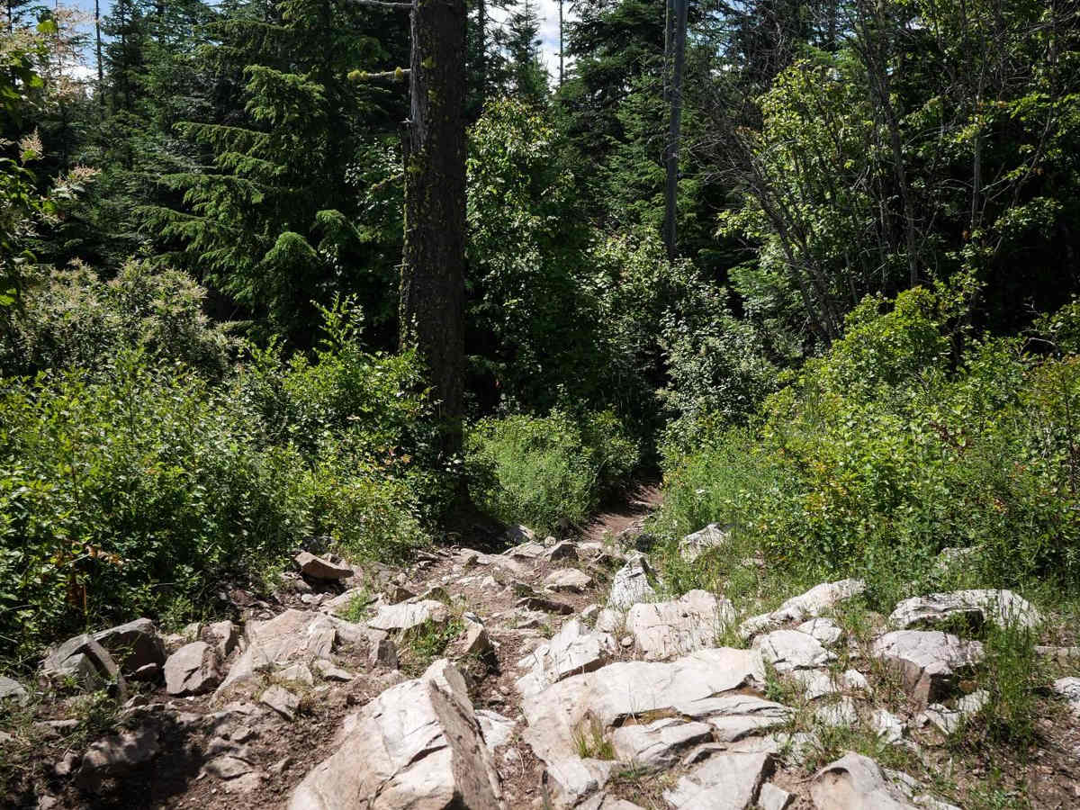 Canfield Mountain- Trail D photo 3