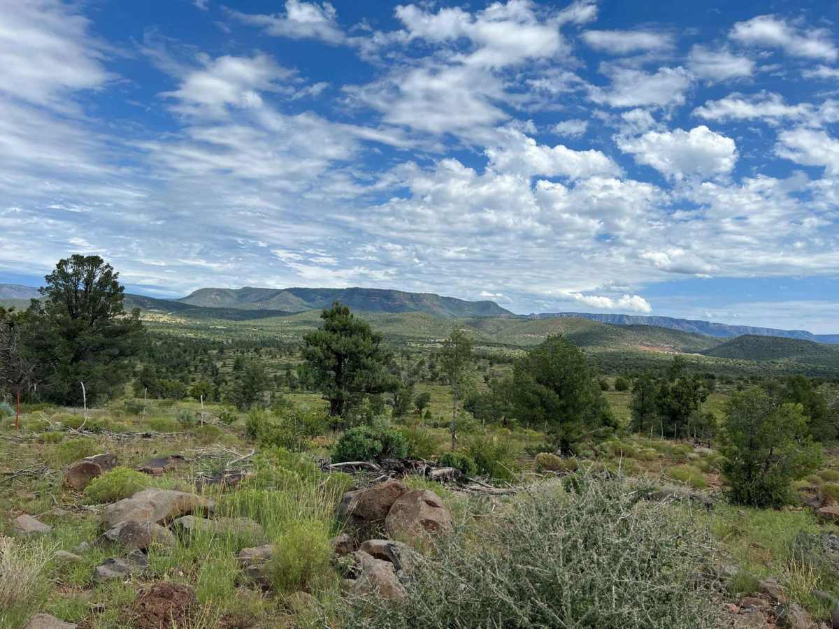 Crackerjack Mesa-  FS 209 trail photo