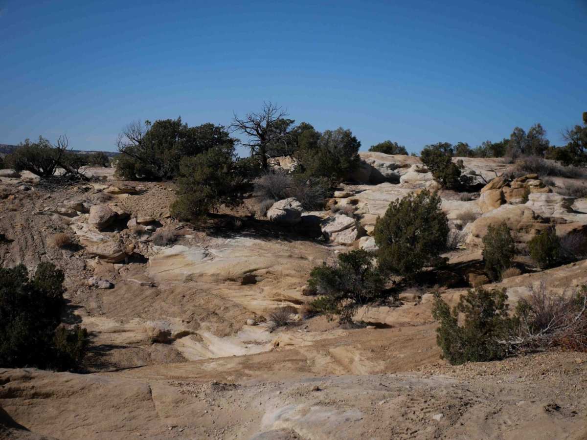 Arch Trail photo 3