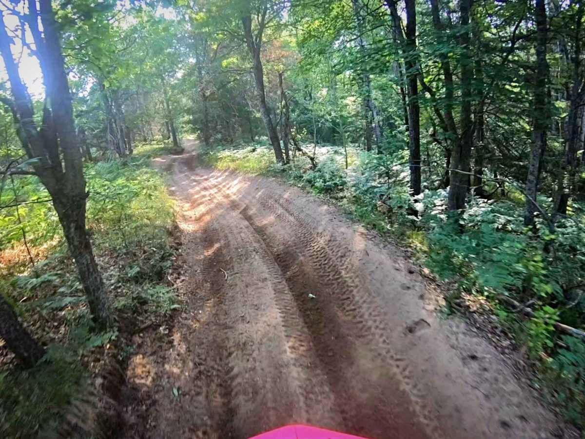 Little Leota Trail photo 5
