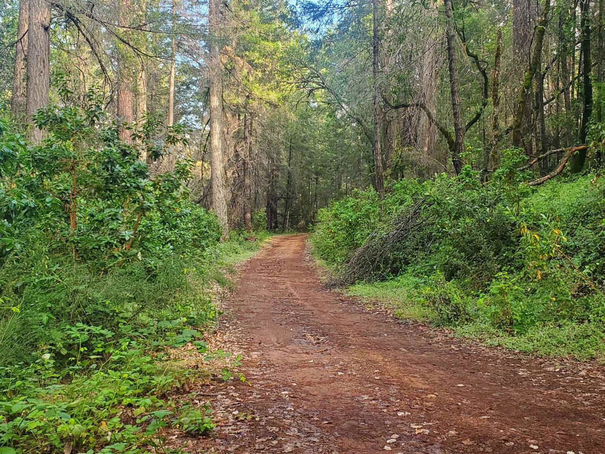 Bottle Hill trail photo