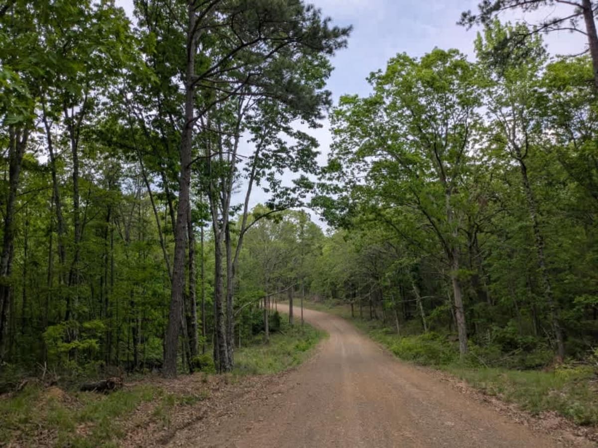 Carter Mountain photo 4