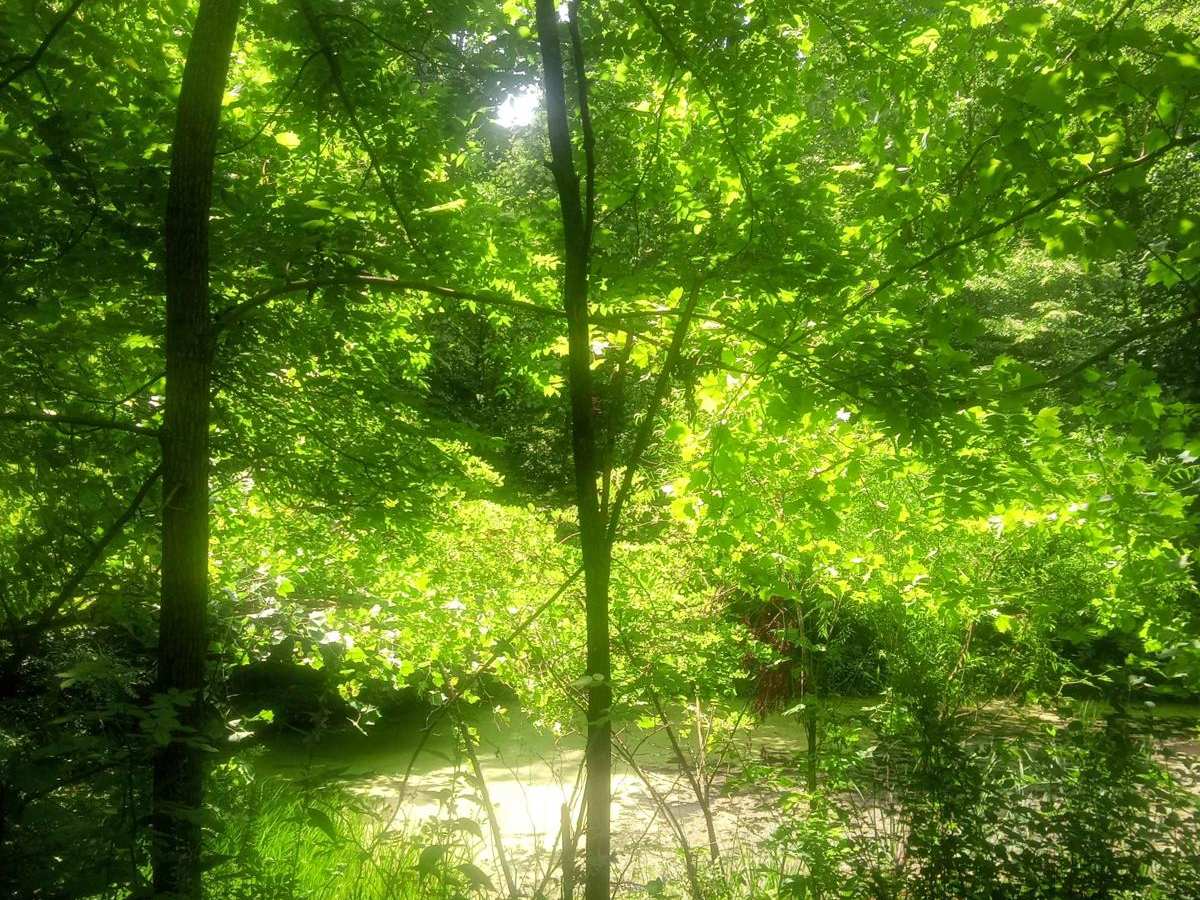 Spencer hollow photo 2