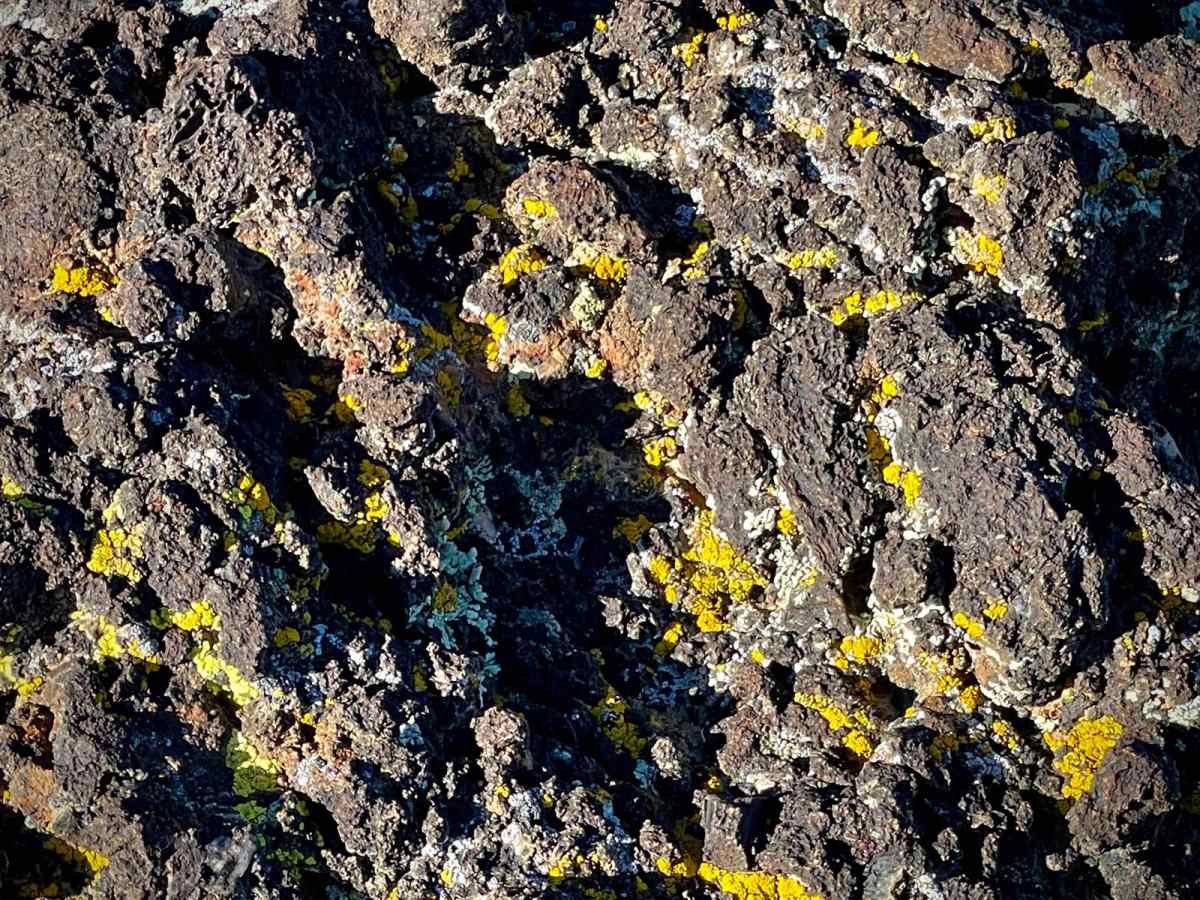 Black Rock Lava Flow photo 5