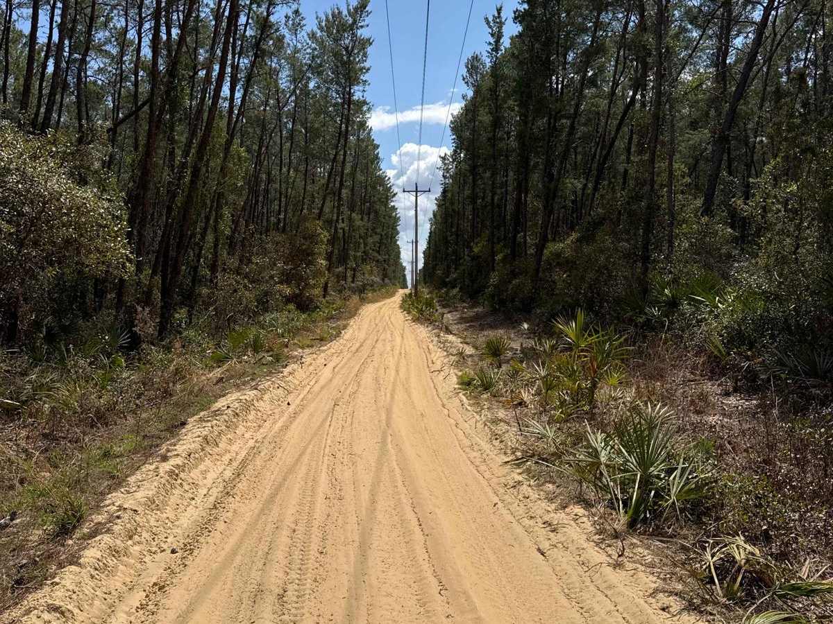 Powerline Road - NE 250th Ave Road photo 6
