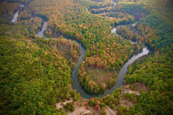 High Rollway Trail (4-3/4)
