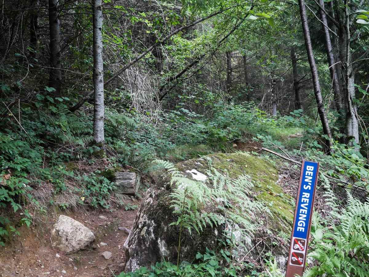 Ben's Revenge photo 5