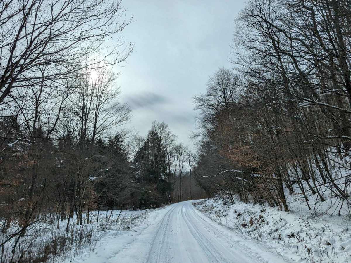 Headwater trail photo