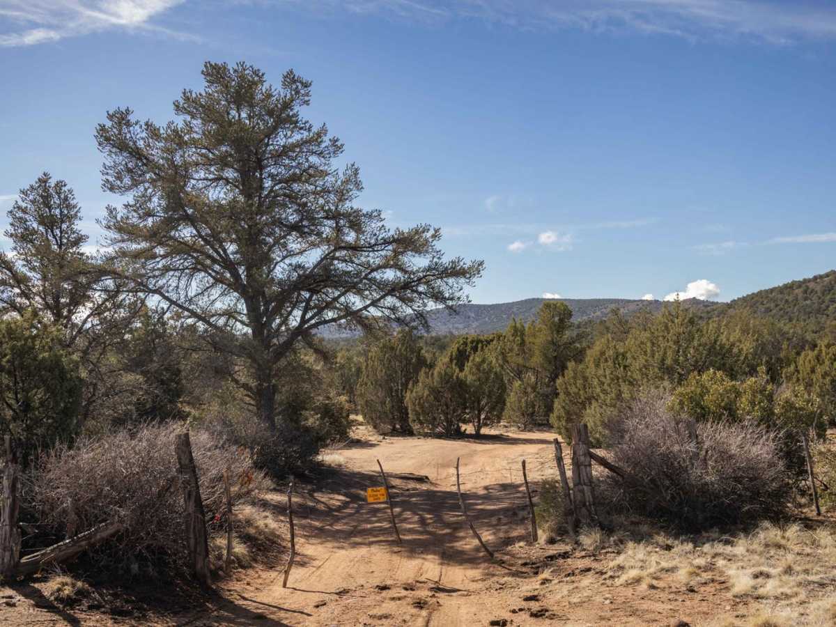 Strickland Wash trail photo
