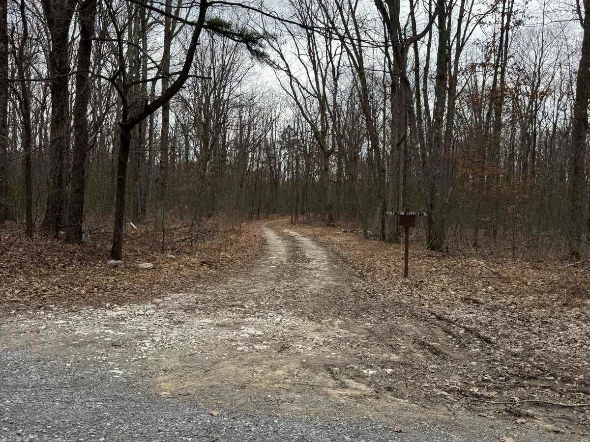 Wolf Run Supply Trail trail photo