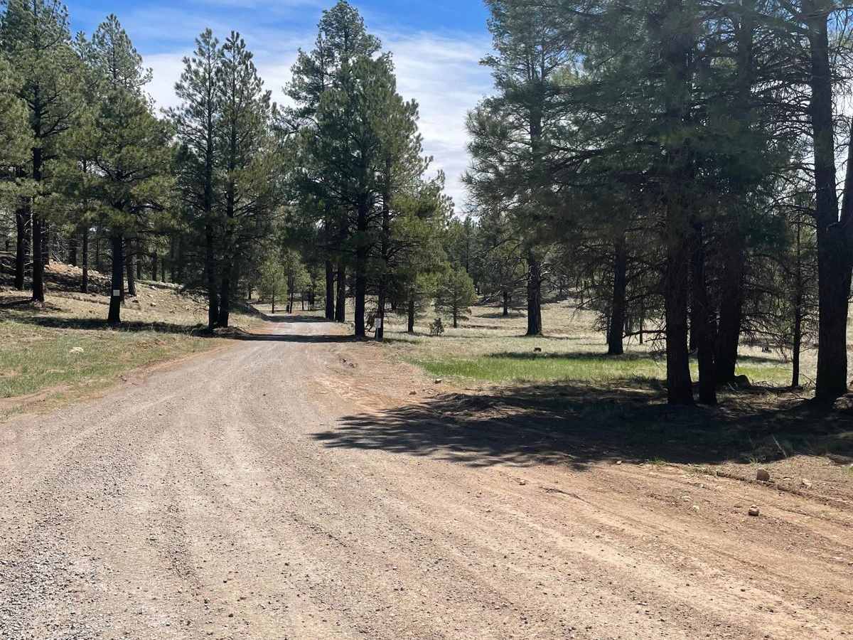 Lower Lake Mary Semi Loop photo 6