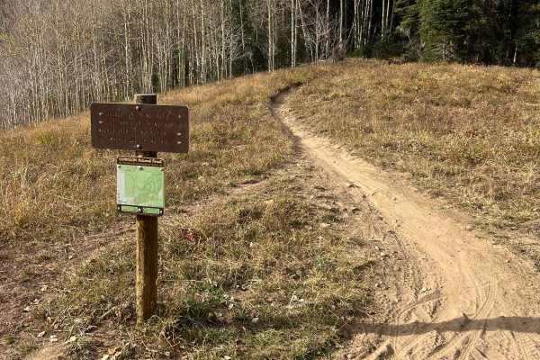 Double Top Trail #405