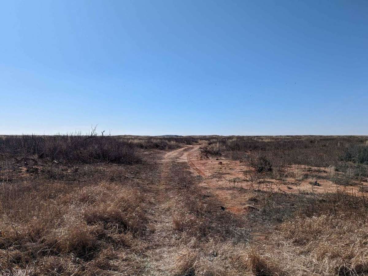 Billy the Kid Loop photo 4