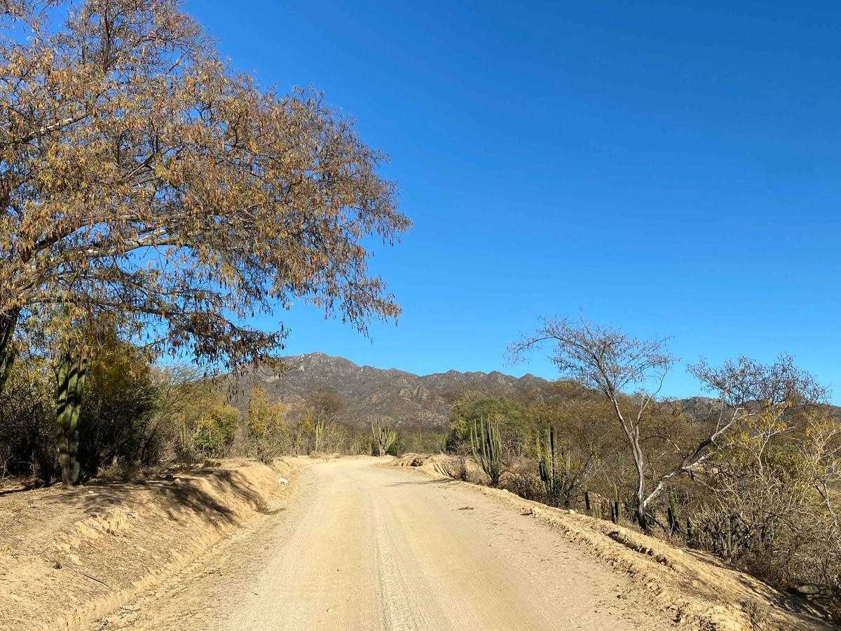 Sierra Laguna photo 5