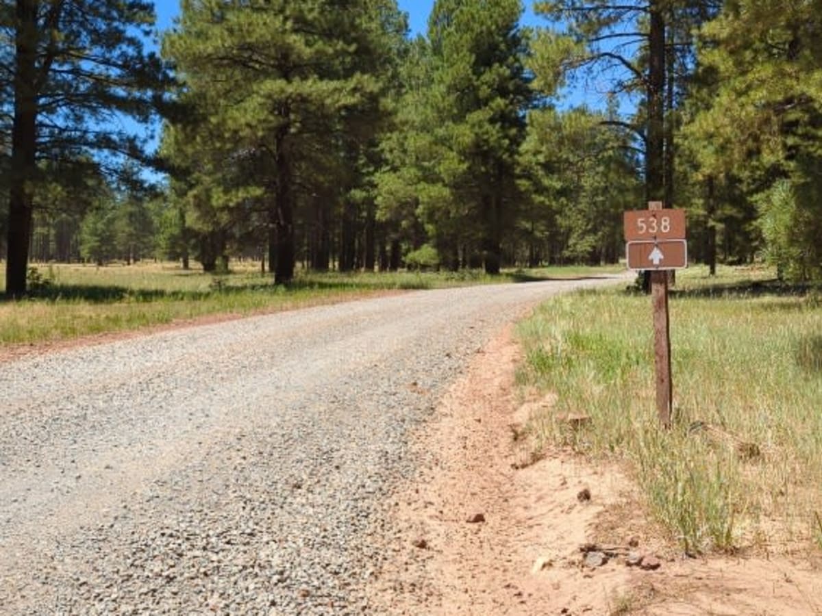 FS 538 Secret Mountain Road trail photo