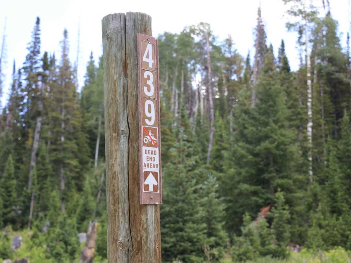 Buck Camp Hollow - FS 70439 trail photo