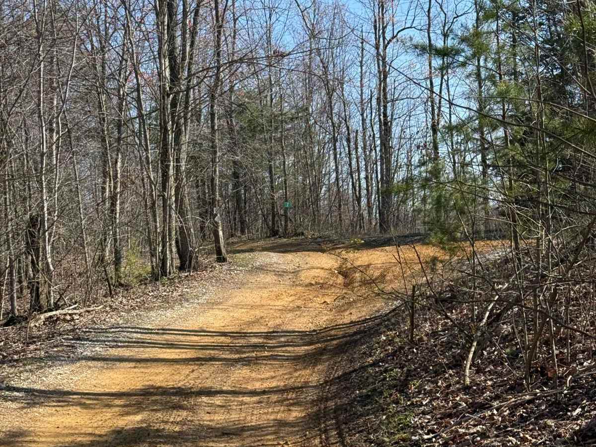 Trail 5A photo 4