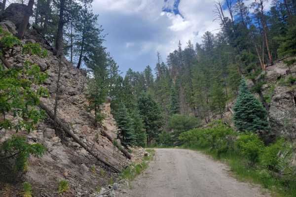 Sulphur Springs Road