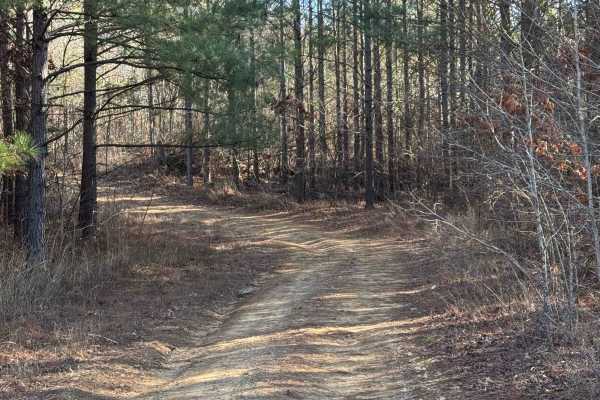 #21 Maynard's Trail