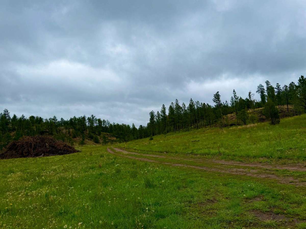 Tepee Branch Road - FS 271.1A trail photo