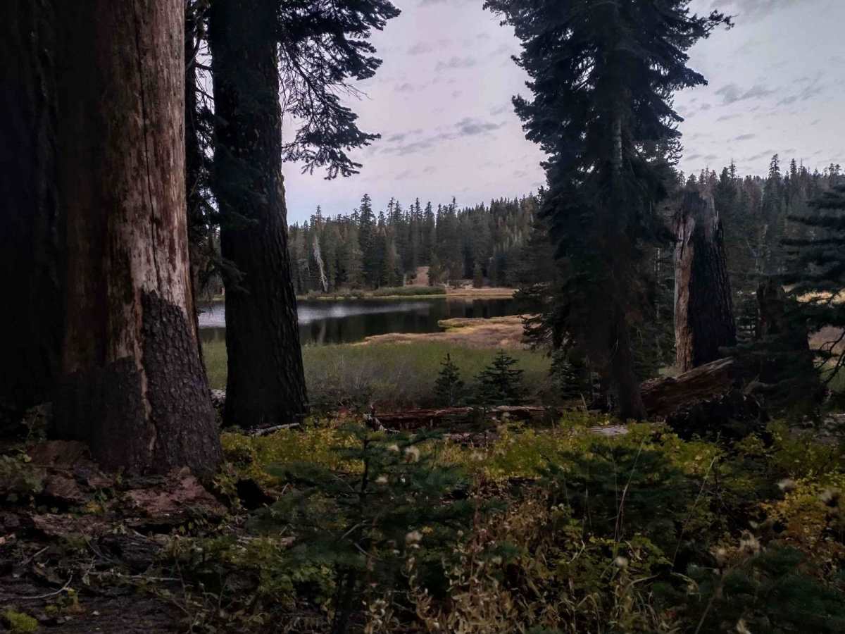 Bear Lake Trail photo 2