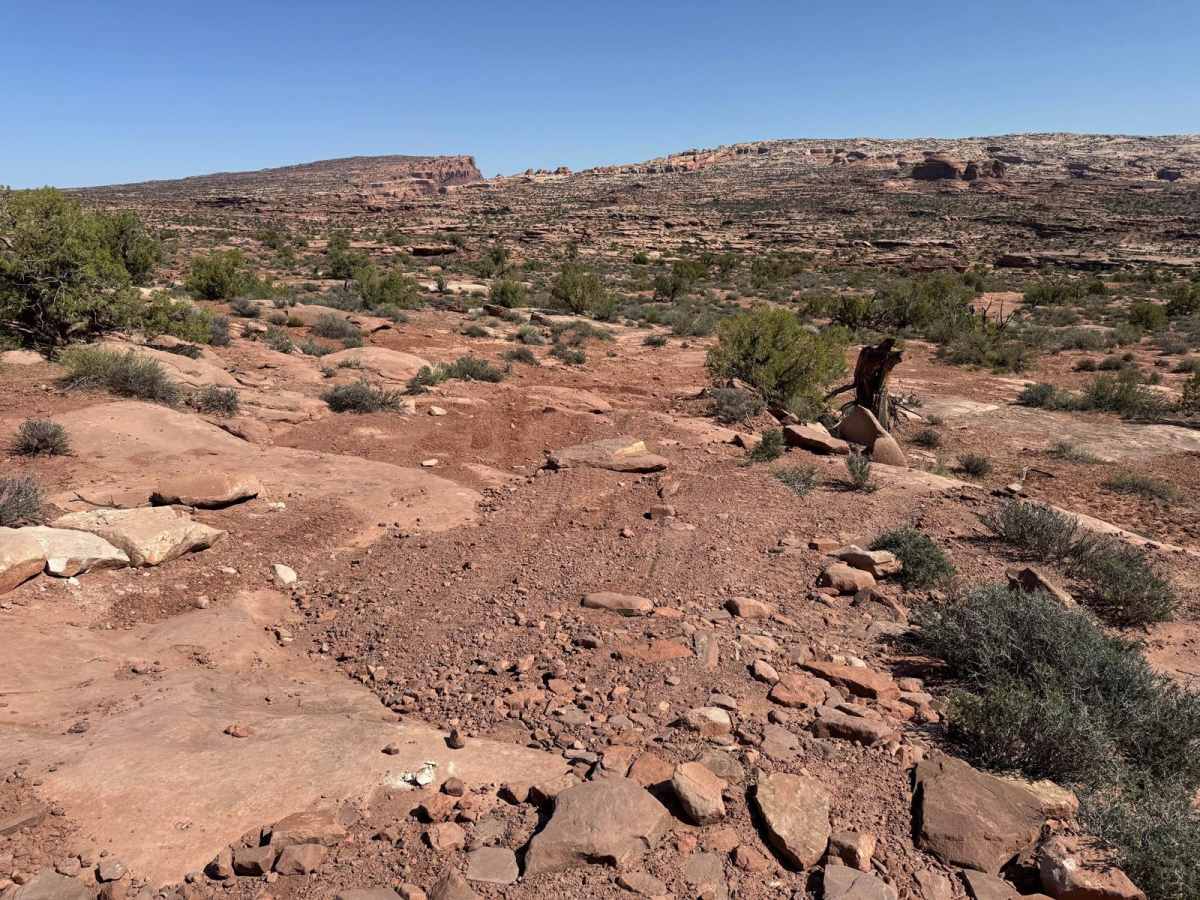 Little Canyon Trail photo 4