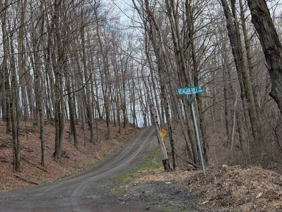 Montrose Turnpike photo 3