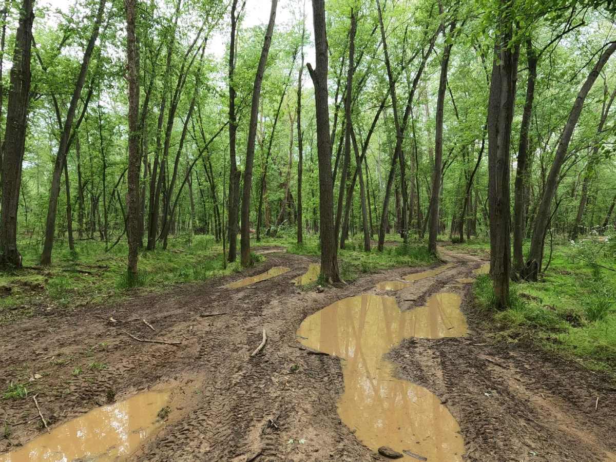 Dafron Branch Trail photo 2