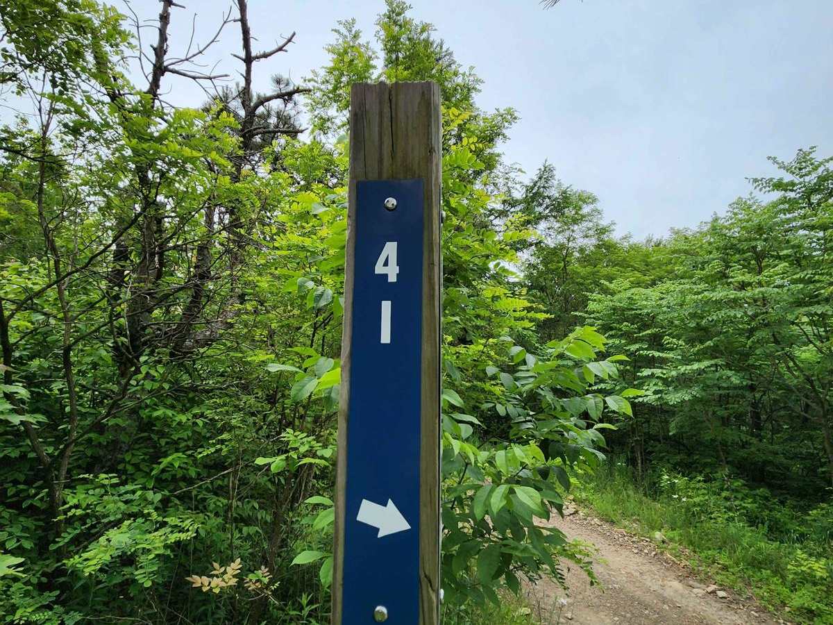 Trail 4I - Rock Run Recreation Area trail photo