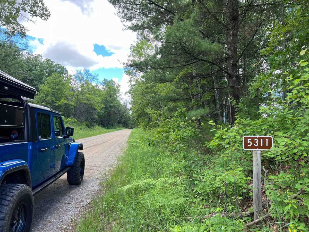 NFS 5311 trail photo